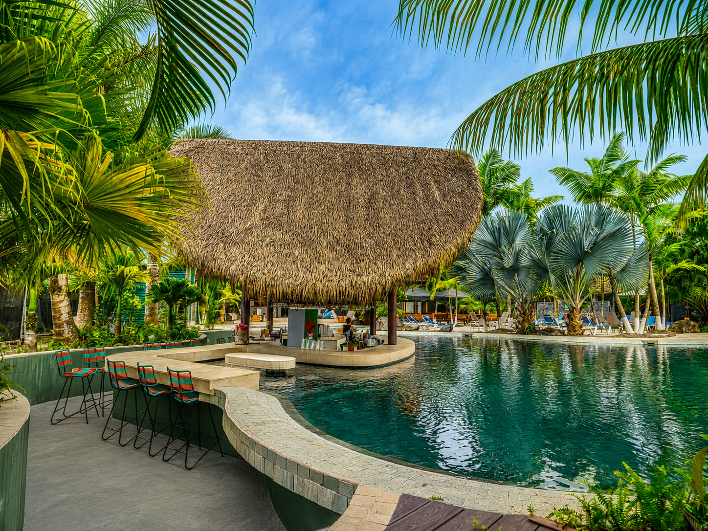 The tropical swimming pool framed by lush palms